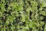 Peridot Crystals in Basalt - Arizona #368608-1